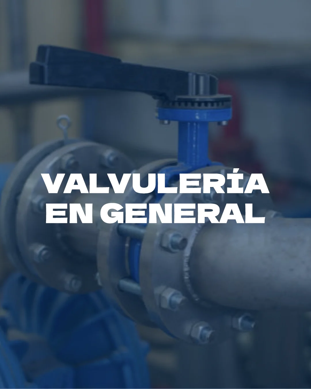 valvuleria